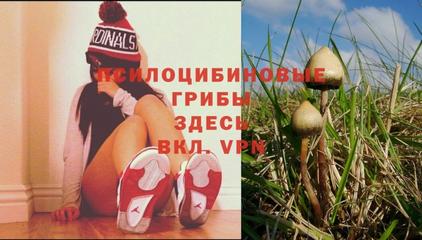 мяу мяу мука Баксан