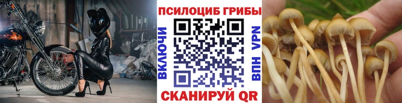 Псилоцибиновые грибы мухоморы  mega   Верхотурье 